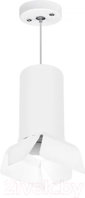 Потолочный светильник Lightstar Rullo RP6486486