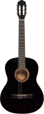 Акустическая гитара Terris TC-390A BK