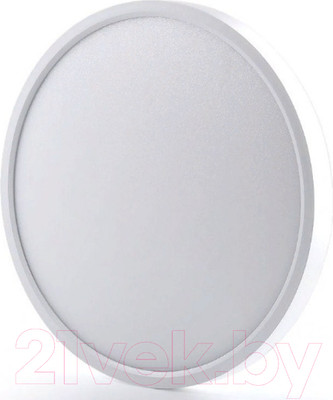 Потолочный светильник Ultra NR-12W-2800K White