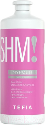 Шампунь для волос Tefia Mypoint Service для стабилизации процедуры окрашивания (1л)