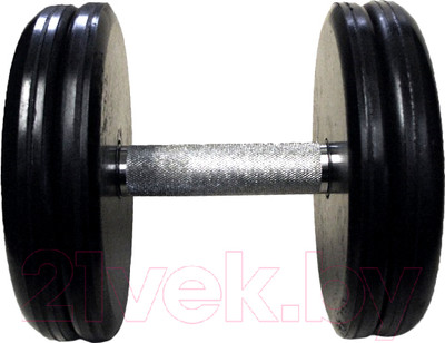 Гантель MB Barbell Классик (18кг, хром)