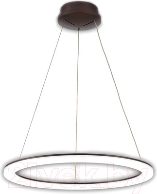 Потолочный светильник Citilux Электрон CL710B65S