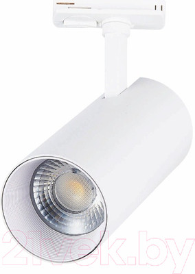Трековый светильник ST Luce Mono ST350.546.30.36
