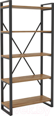 Стеллаж Hype Mebel Стандарт-2 80x200 (черный/дуб галифакс олово)