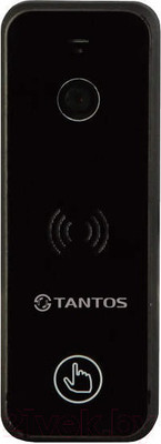 Вызывная панель Tantos iPanel 2+ (черный)