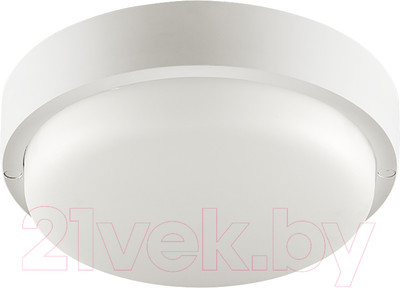 Светильник ЖКХ Wolta LCL04-18W-R21-4K-SM