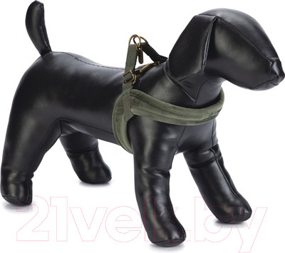 Шлея Designed by Lotte 747339 (L, велюр, зеленый)