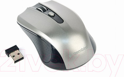 Мышь Gembird MUSW-4B-04-BG (черный/серебристый)