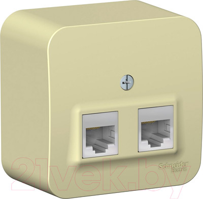 Розетка Systeme (Schneider) Electric Blanca BLNIA045457