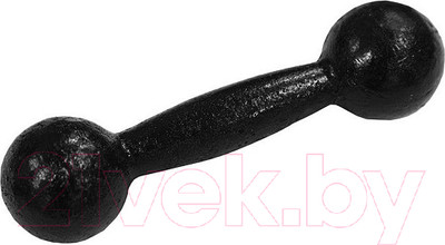 Гантель Титан Литая (8кг)