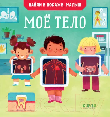 Развивающая книга CLEVER Найди и покажи, малыш. Мое тело (Парамонова А.)
