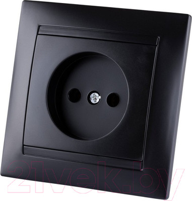 Розетка TDM Лама SQ1815-0622 (графит)