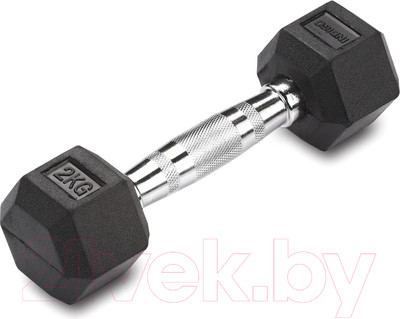 Гантель Indigo Sport IN124 (2кг, черный)