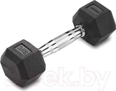 Гантель Indigo Sport IN124 (3кг, черный)