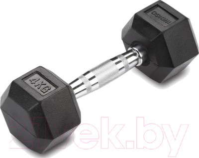 Гантель Indigo Sport IN124 (4кг, черный)