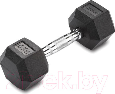 Гантель Indigo Sport IN124 (5кг, черный)