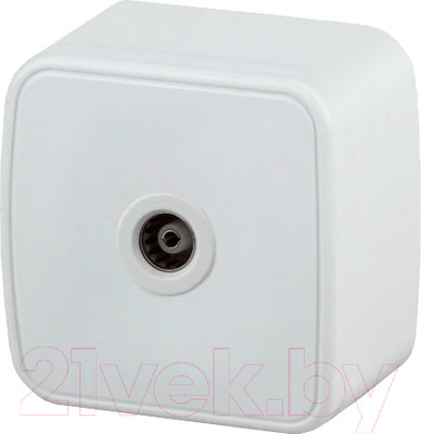 Розетка INTRO Polo 3-301-01 / Б0036101 (белый)