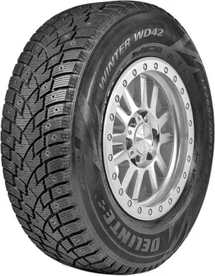 Зимняя шина Delinte Winter WD42 225/65R17 102T (шипы)
