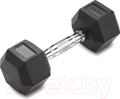 Гантель Indigo Sport IN124 (25кг, черный)