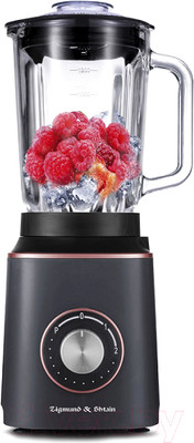 Блендер стационарный Zigmund & Shtain BS-442 D