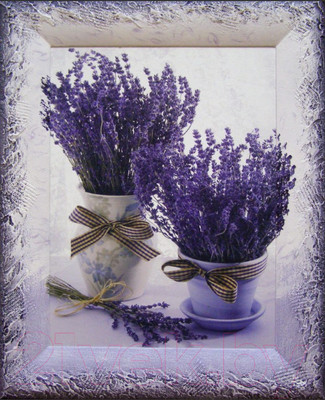 Картина Декарт Лаванда 8Л2334 (в раме)