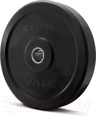 Диск для штанги Ziva Pro FЕ / ZFT-BPRB-0679 (15кг, серый)