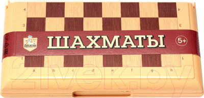 Шахматы Десятое королевство 03883