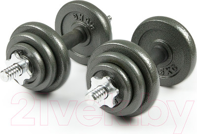 Набор гантелей разборных Atlas Sport Металл 20кг (в чемодане)