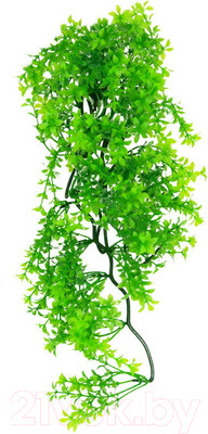 Декорация для террариума Lucky Reptile Turtle Plant Ceratopteris / TP-41