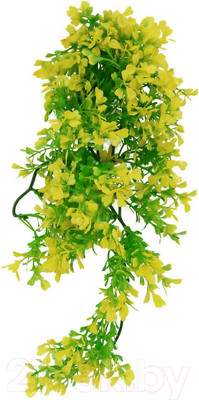 Декорация для террариума Lucky Reptile Turtle Plant Horn Bacopa / TP-44