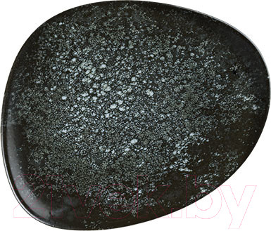 Тарелка столовая обеденная Bonna Cosmos Black Vago / COSBLVAO24DZ
