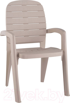 Стул пластиковый Ellastik Plast Прованс 58x46.5x90 (грей)