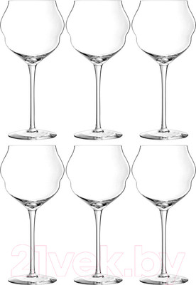 Набор бокалов Chef & Sommelier Macaron / L9412 (6шт)