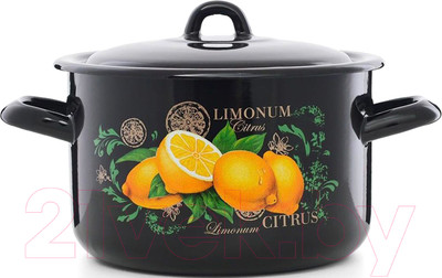 Кастрюля ЭСТЕТ Цитрус / ЭТ-72902