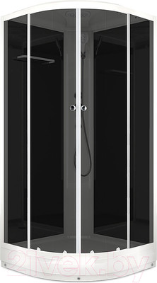 Душевая кабина Domani-Spa Delight 88 / DS01D88LBT00 (черный/тонированное стекло)