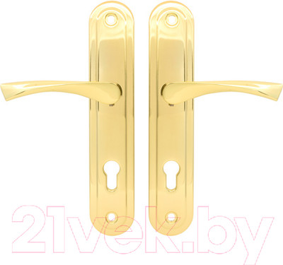 Ручка дверная Avers HP-85.0423-G (золото)