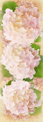 Фотообои листовые Твоя планета Люкс Гортензии (97x272)