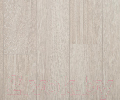 Ламинат Kastamonu Floorpan Sunfloor Дуб вис (SF0107)