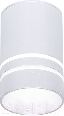 Точечный светильник Ambrella TN236 SL/S