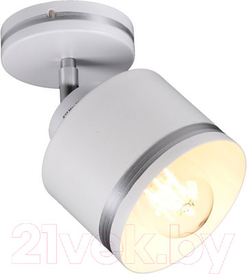 Спот Imex SP.025-11-80