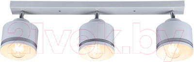 Спот Imex SP.025-53-80