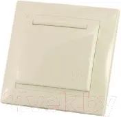 Розетка TDM Лама SQ1815-0126 (слоновая кость)
