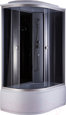 Душевая кабина Niagara NG-2510-14R 120x80x215 (тонированное стекло)