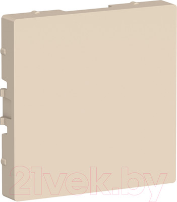 Декоративная заглушка для розетки Systeme (Schneider) Electric AtlasDesign ATN000209