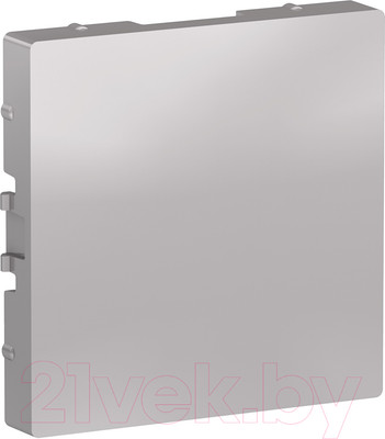 Декоративная заглушка для розетки Systeme (Schneider) Electric AtlasDesign ATN000309