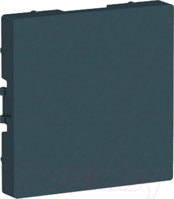 Декоративная заглушка для розетки Systeme (Schneider) Electric AtlasDesign ATN000809