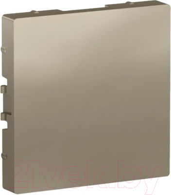 Декоративная заглушка для розетки Systeme (Schneider) Electric AtlasDesign ATN000509