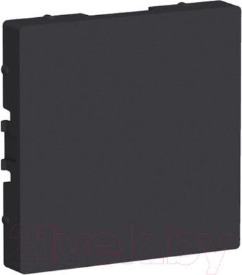 Декоративная заглушка для розетки Systeme (Schneider) Electric AtlasDesign ATN001009