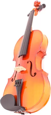 Скрипка Mirra VB-310-4/4 (в футляре со смычком)