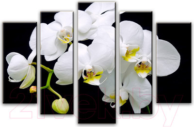 Картина модульная Arthata 5m-107 (160x90)